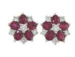 Ruby Diamonds Earrings G543R36